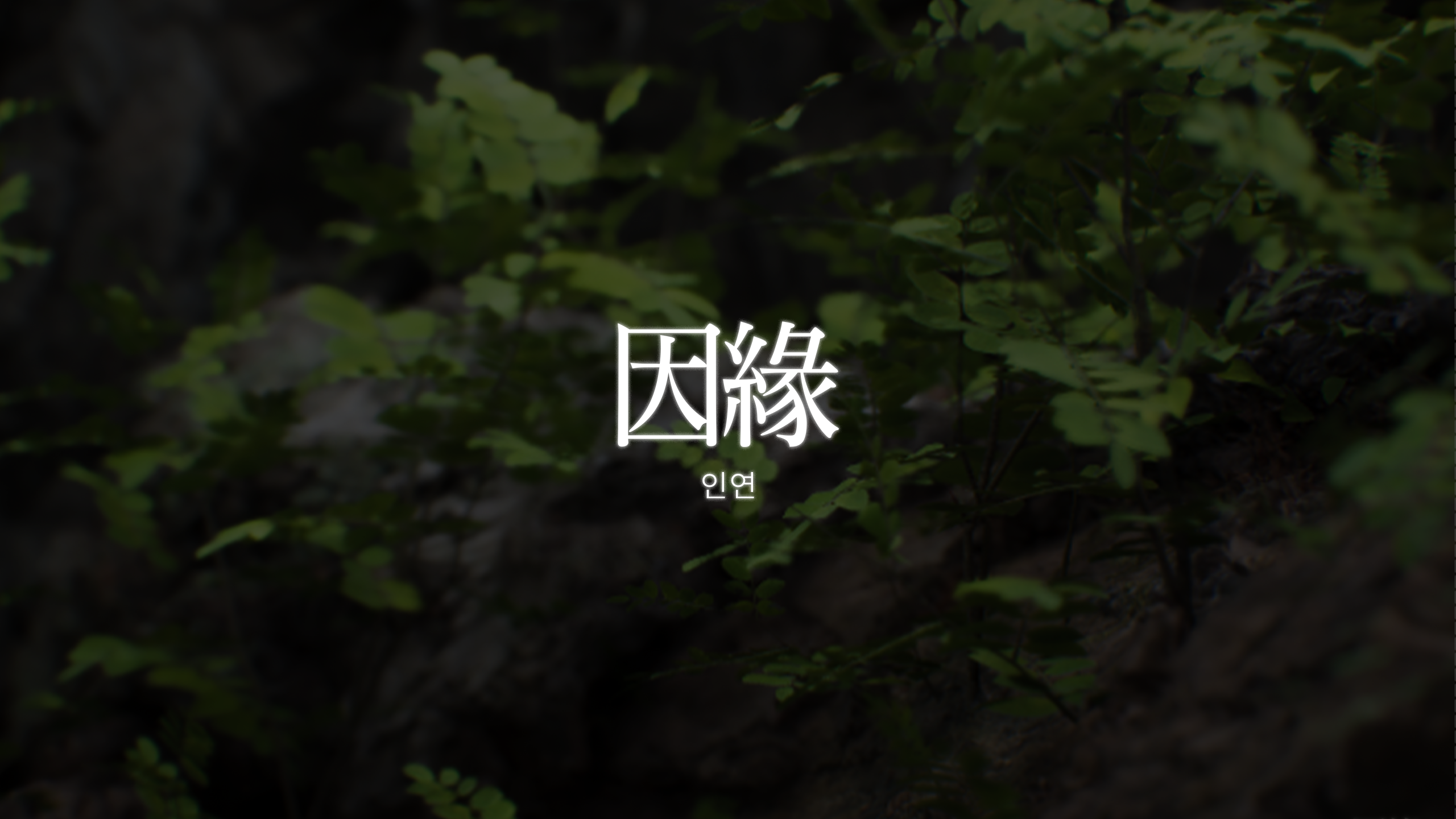 Connection_Thumbnail